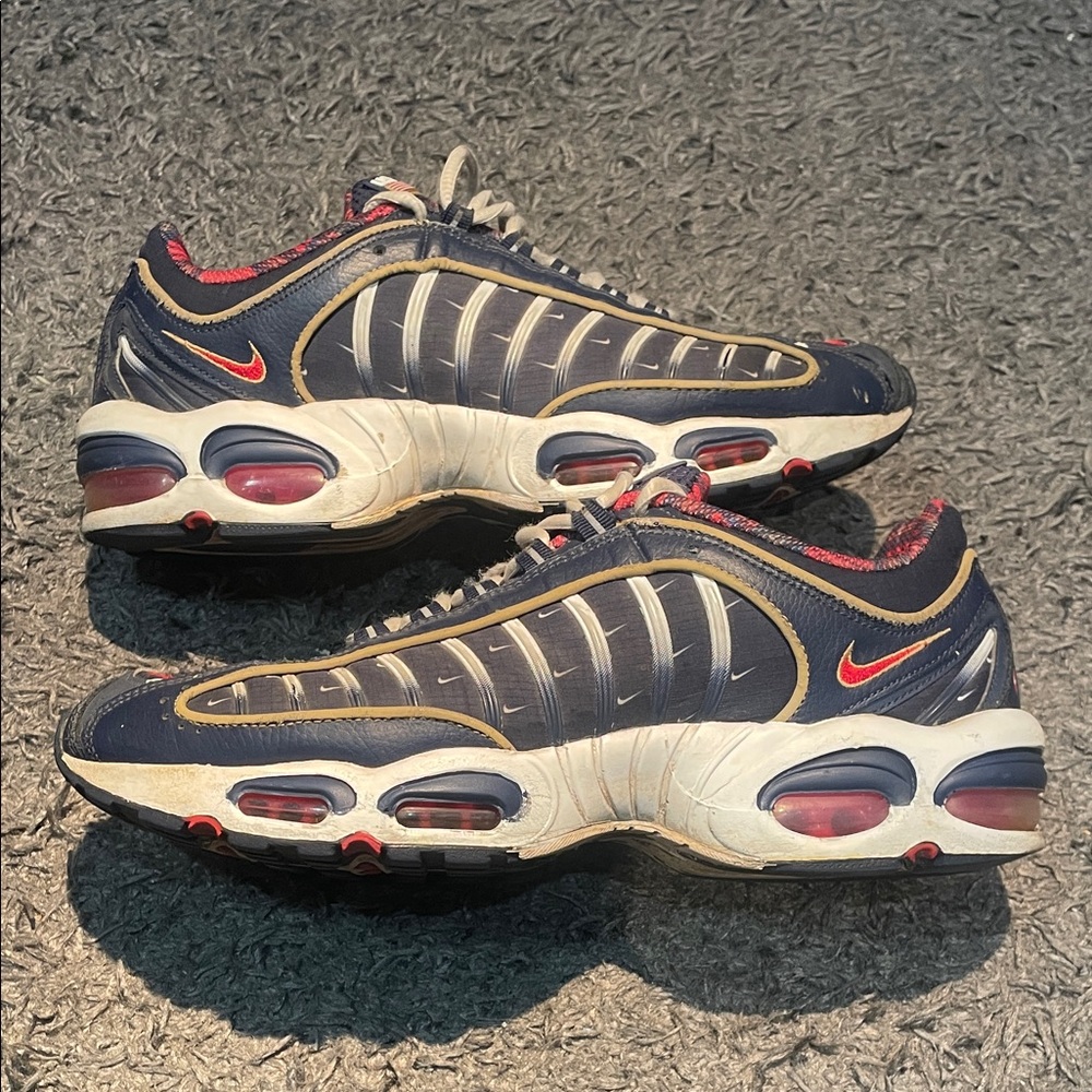Nike air max plus USA